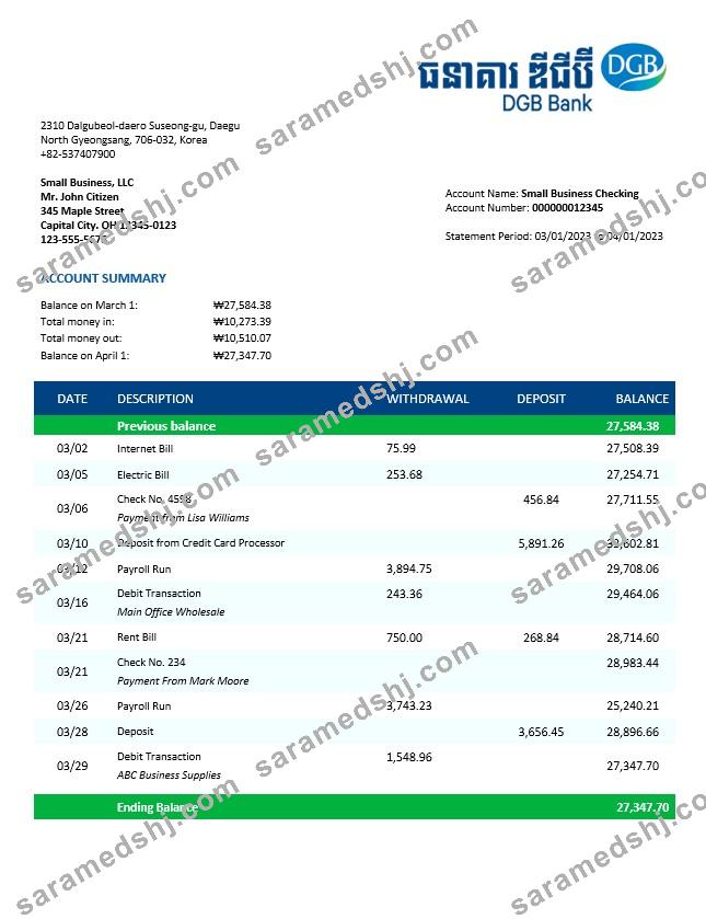 DGB Financial Group business bank statement Word and PDF template